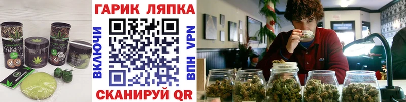 Купить закладки  Кизляр  Cannafood марихуана 