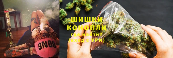 PSILOCYBIN Заволжье
