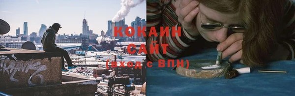 PSILOCYBIN Заволжье