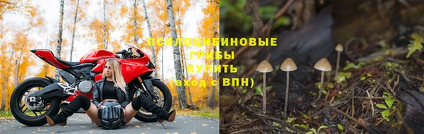PSILOCYBIN Заволжье