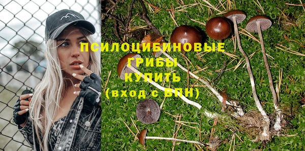 mdpv Зеленокумск