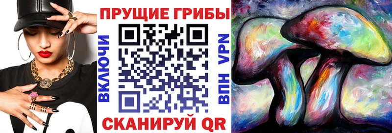 Купить закладки  Кизляр  Псилоцибиновые грибы Psilocybine cubensis 